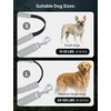 Pecute Hands-Free Dog Walking Belt Bundle: Shock-Absorbing Bungee Leash + 22oz Portable Water Bottle with Food Container, for Running Hiking Training