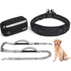 Pecute Hands Free Dog Leash for Large Dogs, Waist Belt with Pouch(Gray)